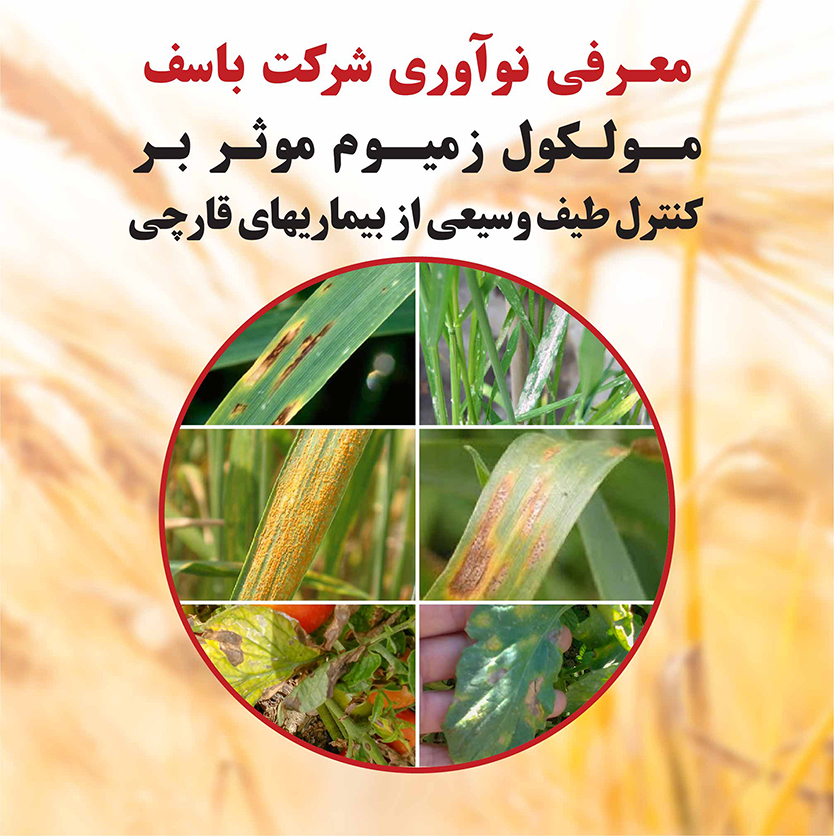 معرفی مولکول زمیوم شرکت باسف